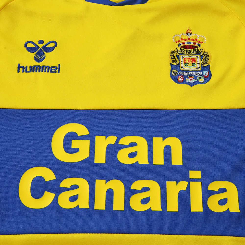 2627 Las Palmas Home Fan version