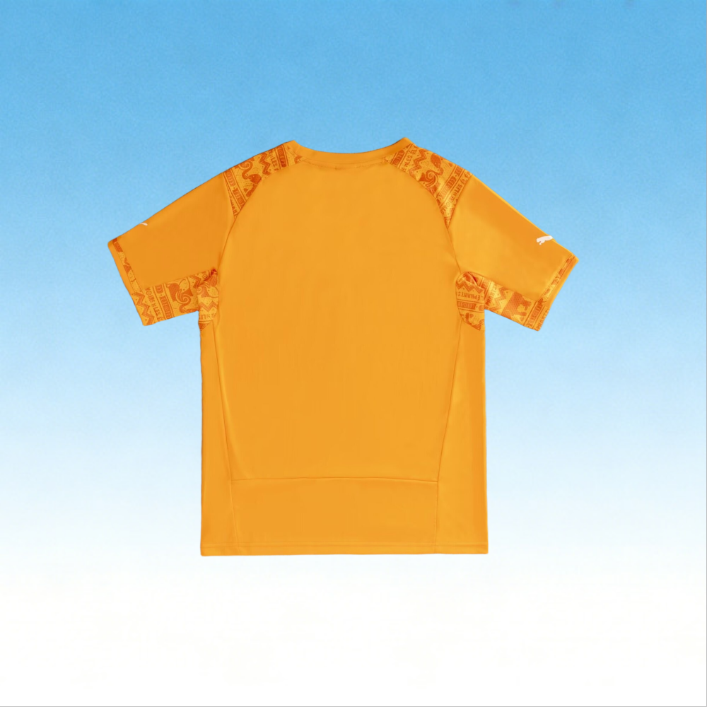 2014 Ivory Coast  Home retro Fan version