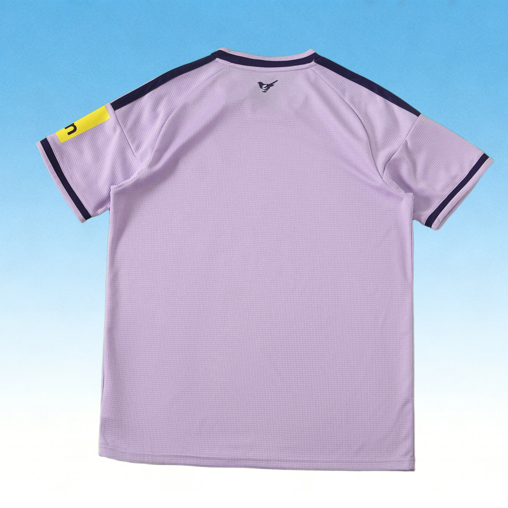 2627 Newcastle United Third Fan version