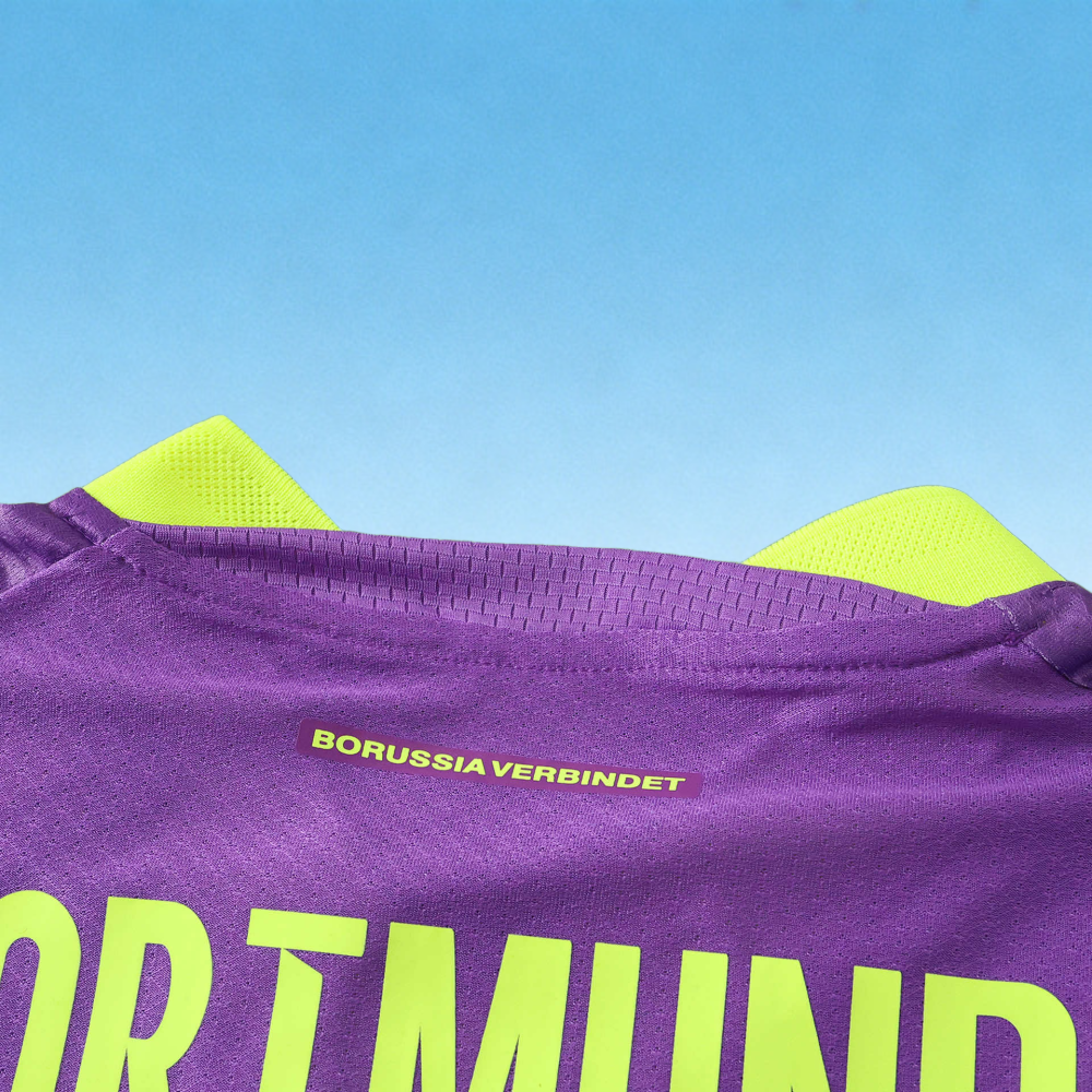 2627 Dortmund Third Player version