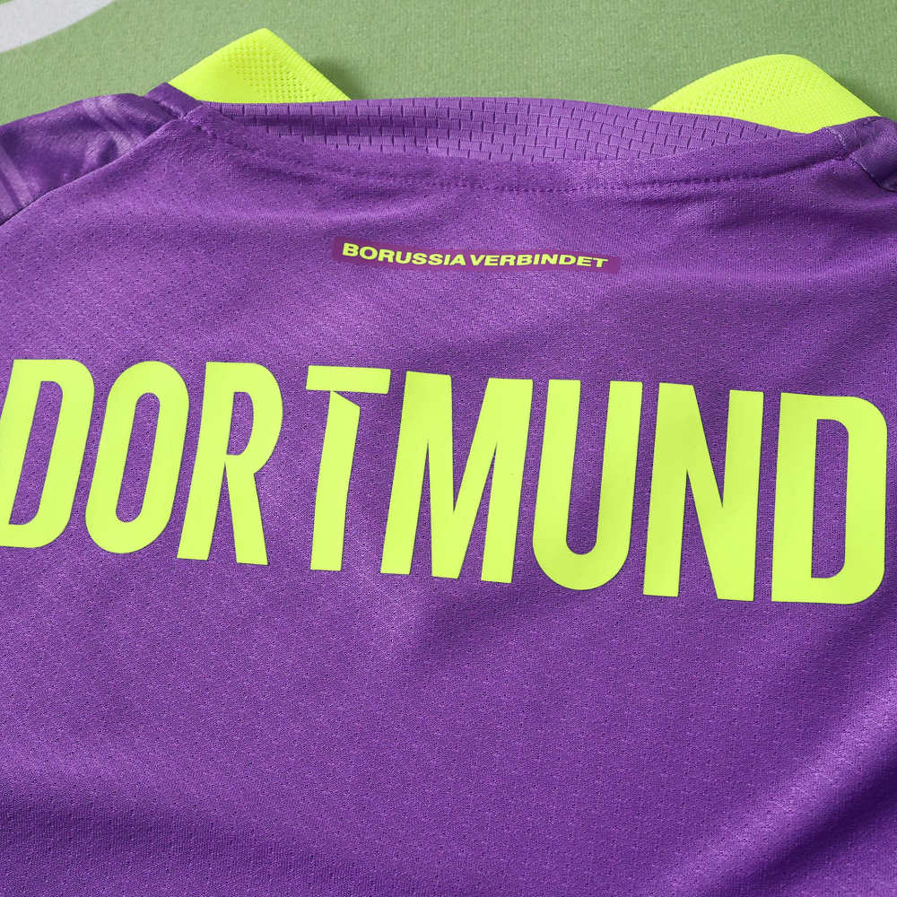 2627 Dortmund Third Player version