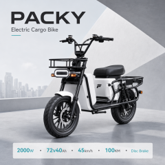 FUNTI Electric Motorcycle | High-Performance E-Scooters 150km Range | China Manufacturer,2026 Best-Selling 2000W High-Speed Electric Cargo Bike,FUNTI PACKY 2000W Electric Scooter | 72V 40Ah | 100KM Range | 2-Seater Cargo Bike