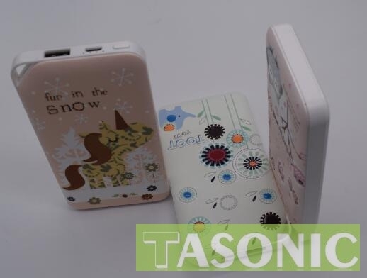 IP 4D OEM 10,000mAH Power Charger, TD-100C