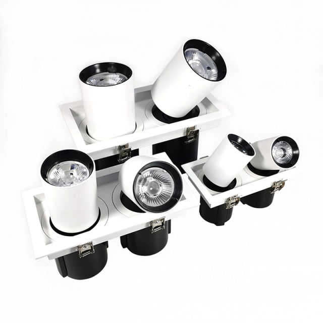 Adjustable Telescopic Spot Light