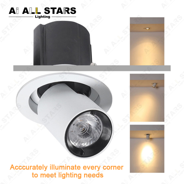 Adjustable Telescopic Spot Light