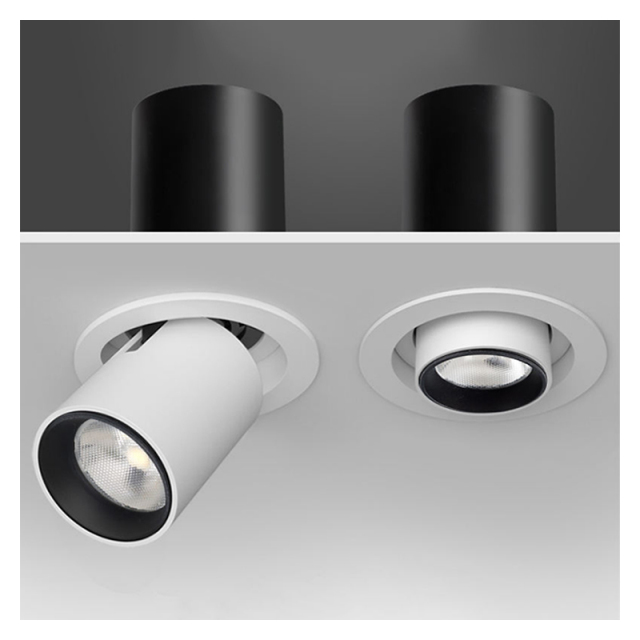 Adjustable Telescopic Spot Light