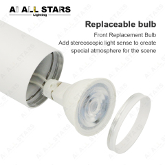 gu10 track light adjustable