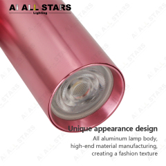 ceiling track lighting fixture