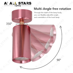 ceiling track lighting fixture