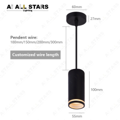 LED Pendant Down Light GU10