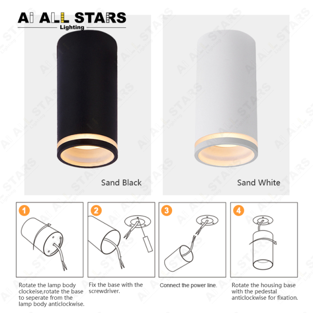 Ceiling Surface Mounted Light