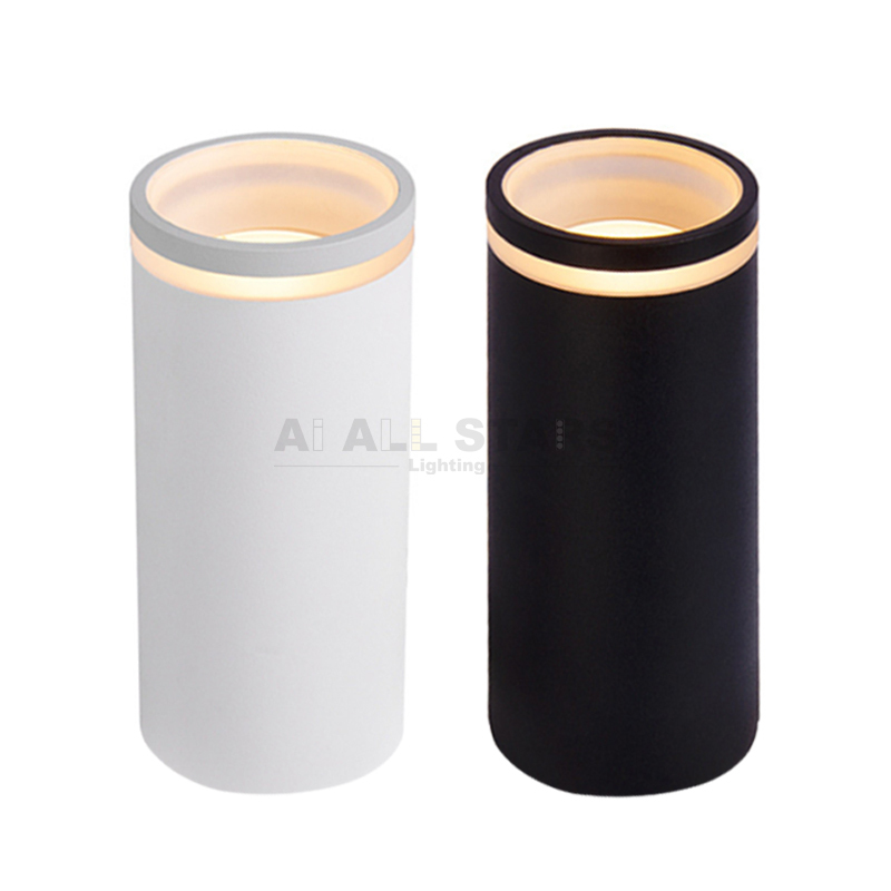 Ceiling Surface Mounted Light