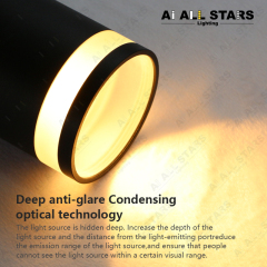 Ceiling Surface Mounted Light