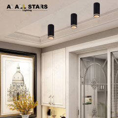 Ceiling Surface Mounted Light