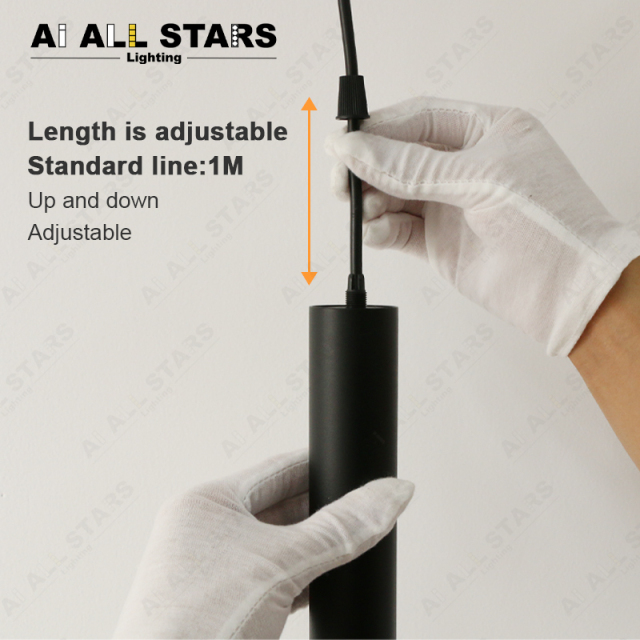 Modern Nordic Pendant Light