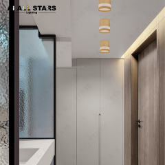 Downlight gx53 standard fixture