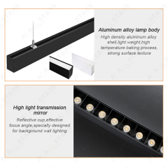 Surface Mounted Hanging Linear Light