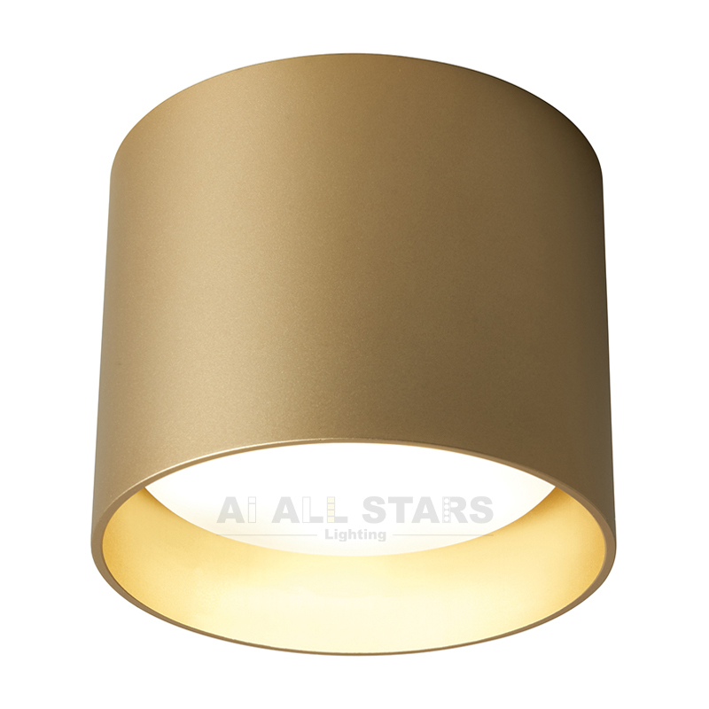 GX53 Downlight