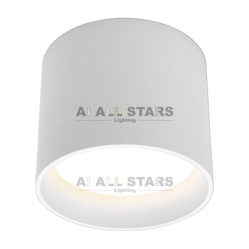 GX53 Downlight