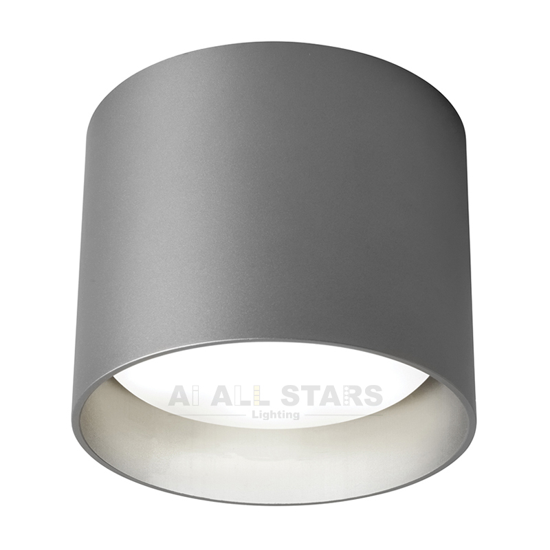 GX53 Downlight