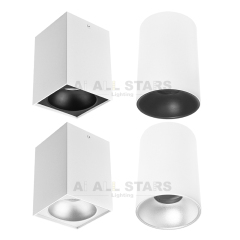 Surface Mount Ceiling Downlight