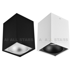 Surface Mount Ceiling Downlight