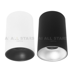 Surface Mount Ceiling Downlight