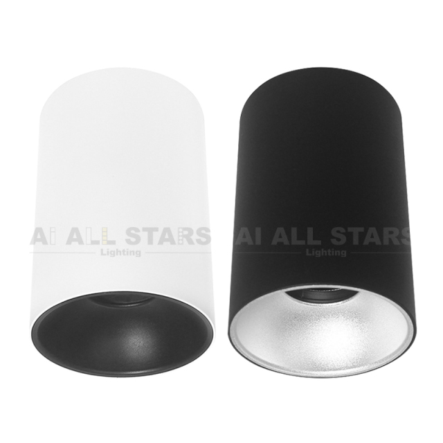 Surface Mount Ceiling Downlight