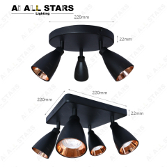 Double Head Adjustable Tracklights