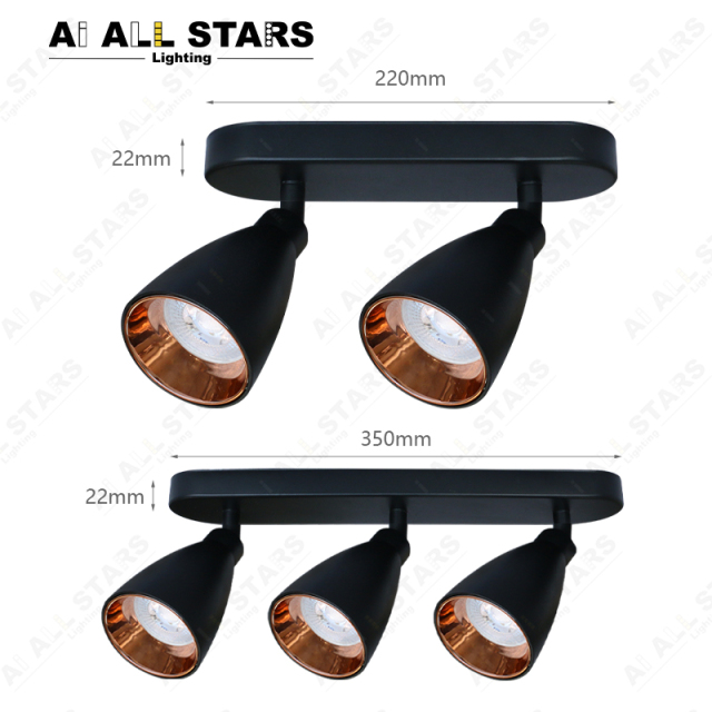 Double Head Adjustable Tracklights