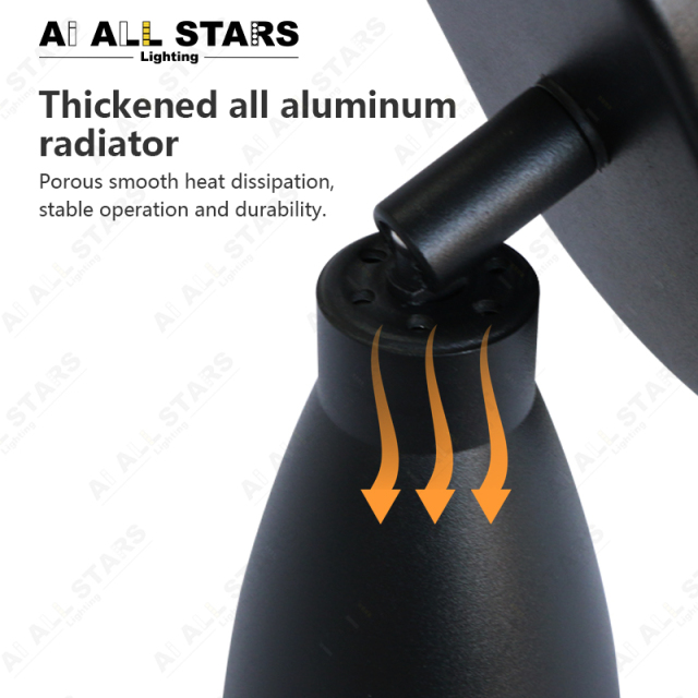 Double Head Adjustable Tracklights