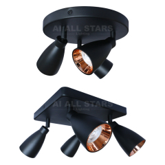 Double Head Adjustable Tracklights