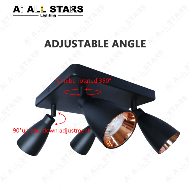 Double Head Adjustable Tracklights