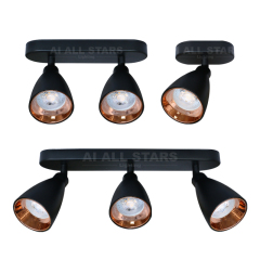 Double Head Adjustable Tracklights