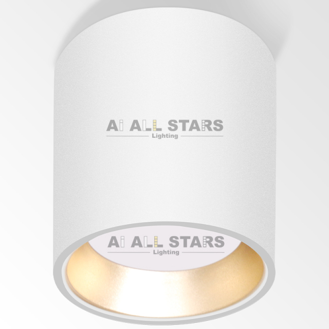 Surface Mounted LED Lighting Downlight GX53