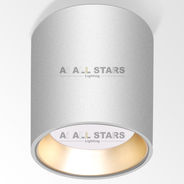 Surface Mounted LED Lighting Downlight GX53