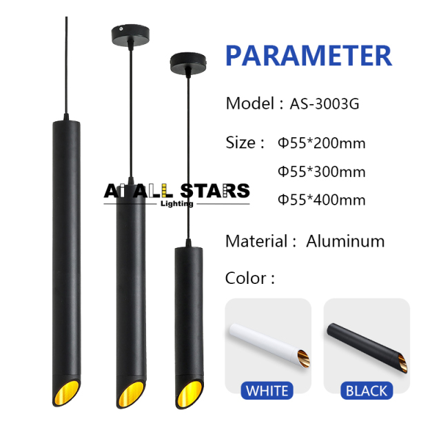 Surface Pendant Hanging Ceiling Lights