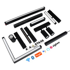 220V Magnetic Track System