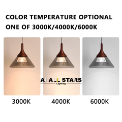 Led Chandeliers Pendant Light