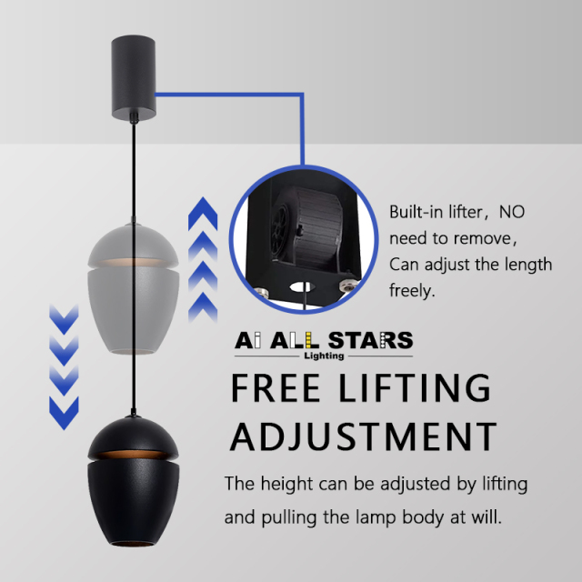 Chandeliers Ceiling Luxury Pendant Light