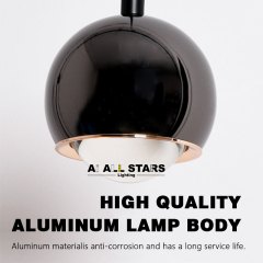 Adjustable Lifting Ball Chandelier