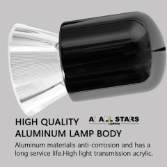 Hanging Pendant Lights