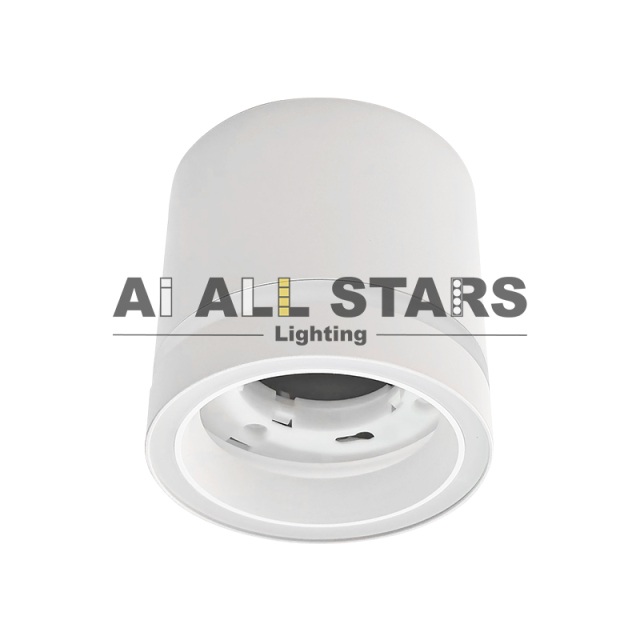 Surface GX53 Ceiling Down Light