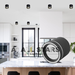 Surface GX53 Ceiling Down Light