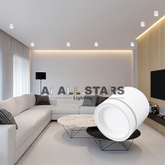 Surface GX53 Ceiling Down Light