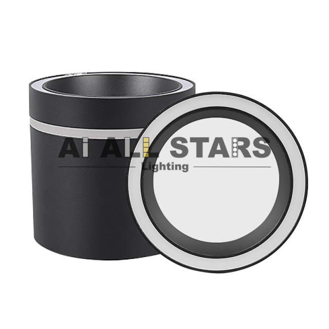 Surface GX53 Ceiling Down Light