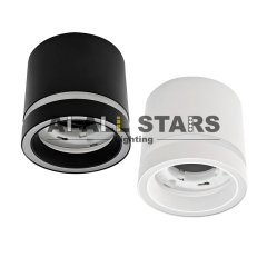 Surface GX53 Ceiling Down Light