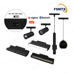 LED Four-position rocker switch magnetic track light