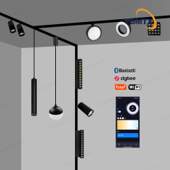 48V Smart control LED Magnetic Track Light