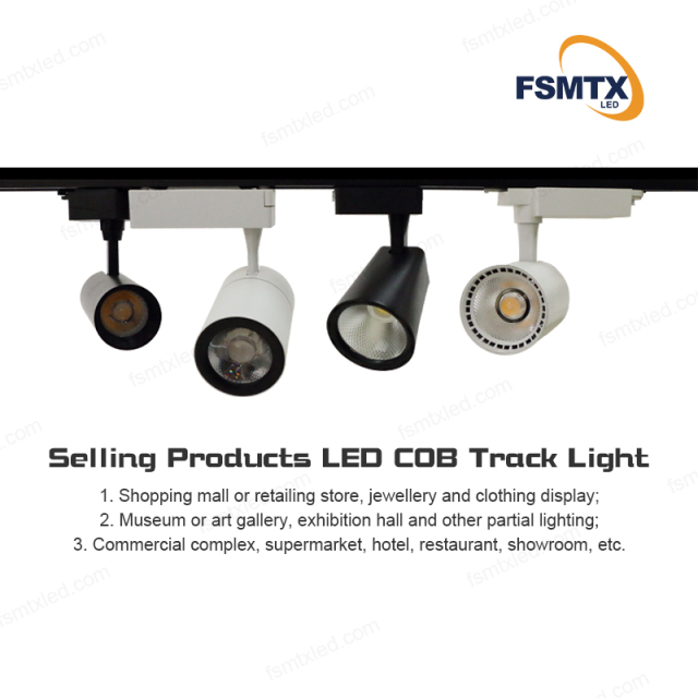 AS-8203/8205/8212 High Quality 2 Wire Led Track Rail